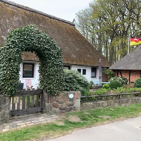 Schone Ferienwohnung In Luhmuhlen Appartement *