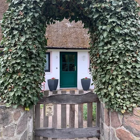 Schone Ferienwohnung In Luhmuhlen Appartement *